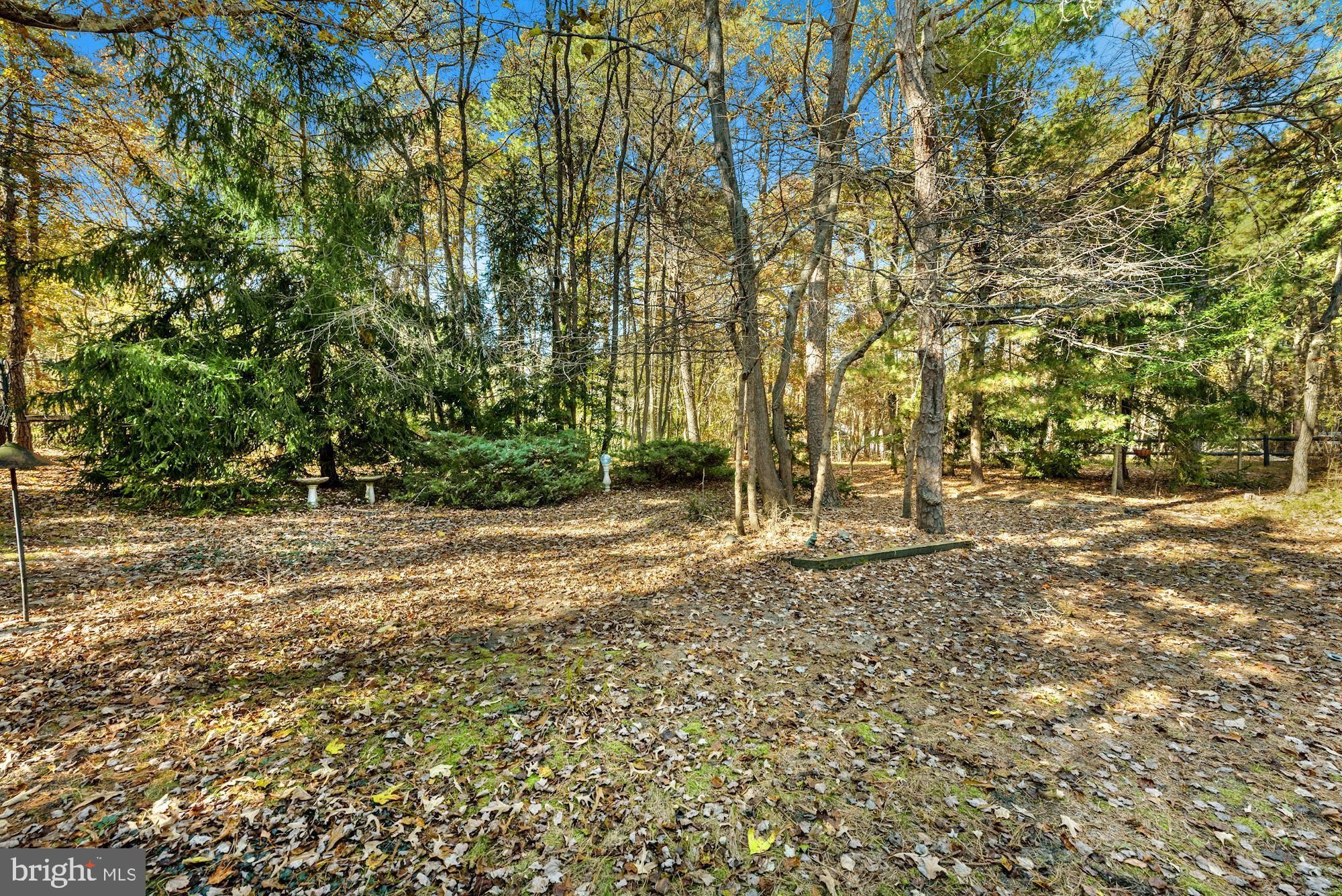122 Heath Road Medford, NJ 08055 - Photo 31 of 43 Gallery Image 31