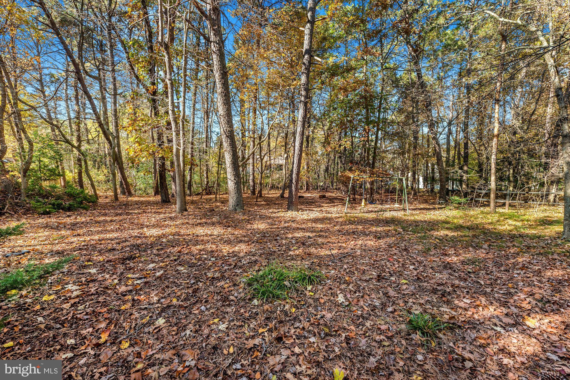 122 Heath Road Medford, NJ 08055 - Photo 32 of 43 Gallery Image 32