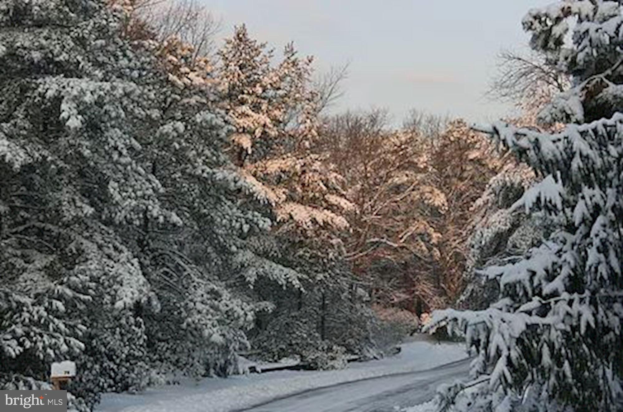 122 Heath Road Medford, NJ 08055 - Photo 42 of 43 Gallery Image 42