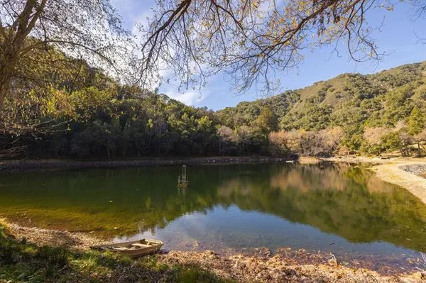 a view of a entrance gate of the house and trees