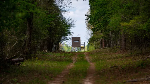 $4,475,000 | 3860 Farm To Market Road 2259, Nacogdoches, TX 75961