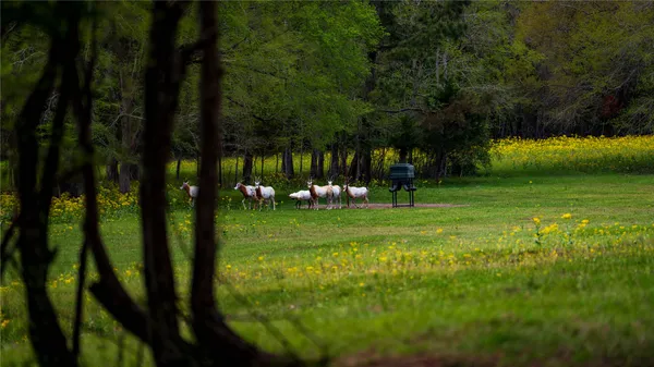 $4,475,000 | 3860 Farm To Market Road 2259, Nacogdoches, TX 75961