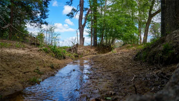 $4,475,000 | 3860 Farm To Market Road 2259, Nacogdoches, TX 75961