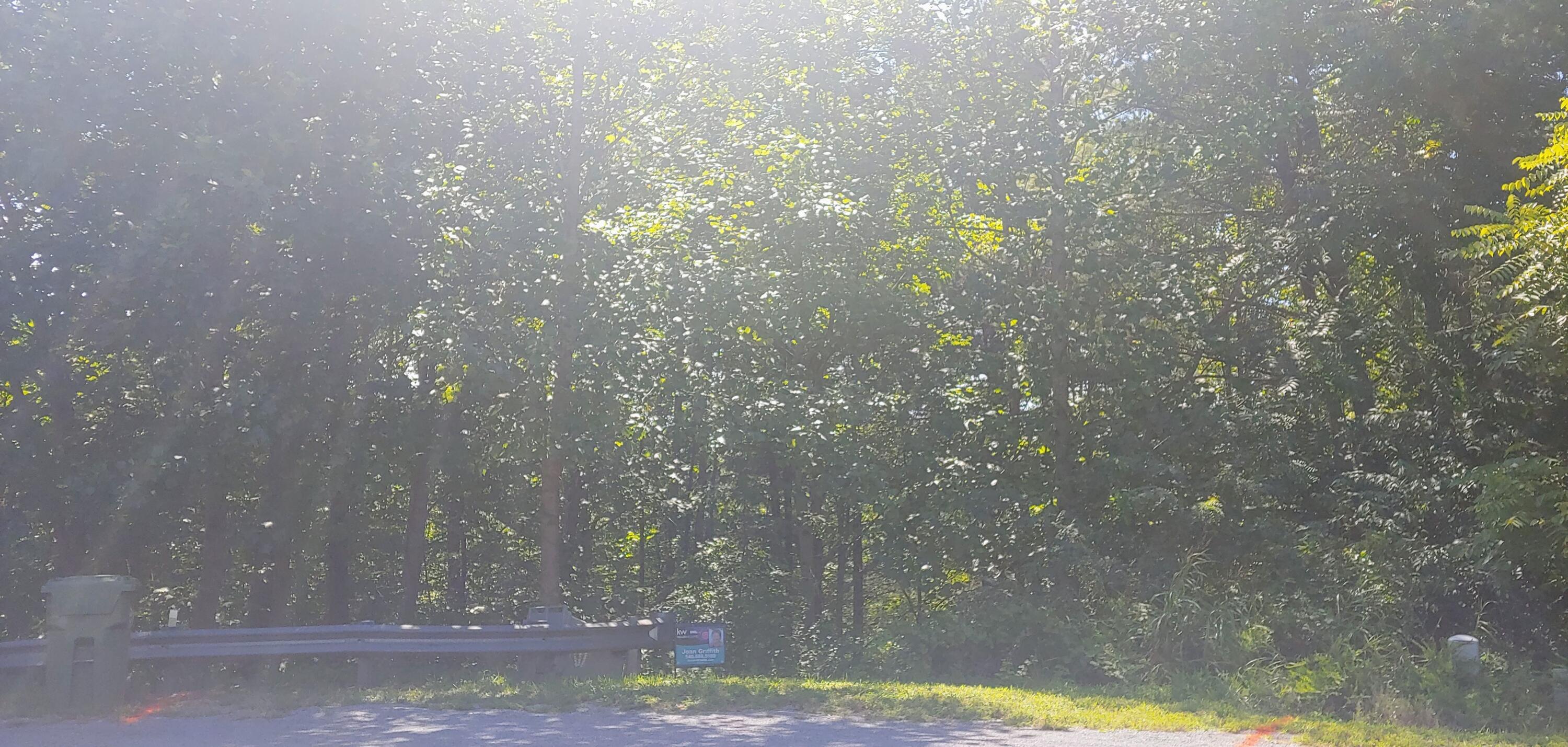 Lot 16 Moon Ridge Lane Goodview, VA 24095 - Photo 26 of 41 a view of yard with tree