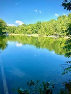 Lot 16 Moon Ridge Lane Goodview, VA 24095 - Photo 29 of 41 a view of a lake from a yard