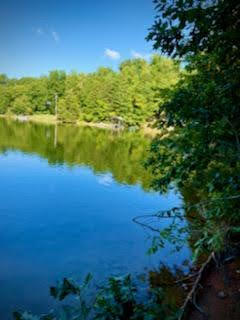 Lot 16 Moon Ridge Lane Goodview, VA 24095 - Photo 33 of 41 a view of a lake with a yard