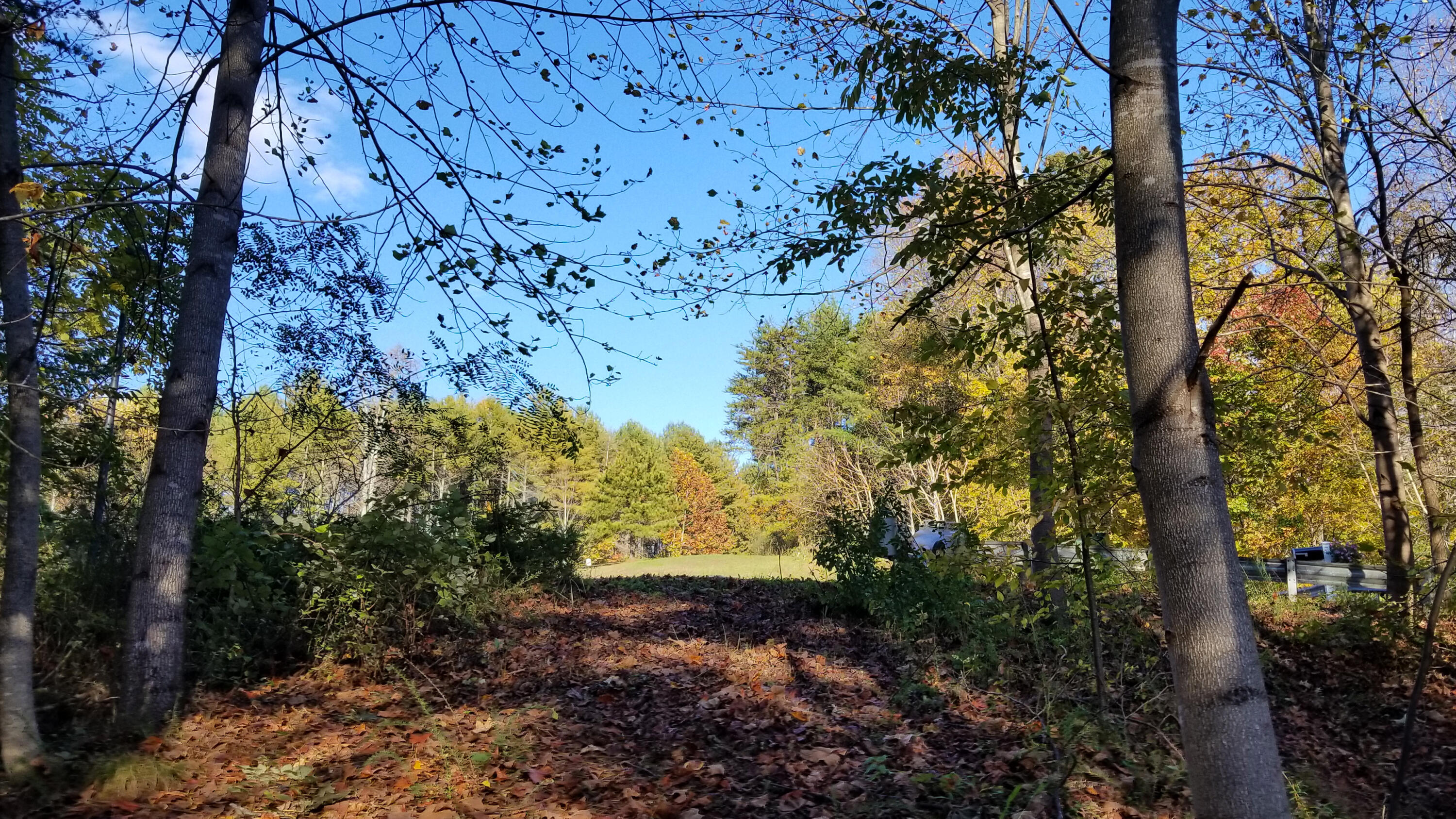 Lot 16 Moon Ridge Lane Goodview, VA 24095 - Photo 39 of 41 a view of a yard