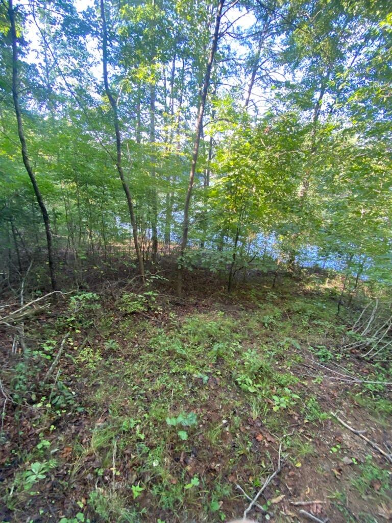 Lot 16 Moon Ridge Lane Goodview, VA 24095 - Photo 4 of 41 a backyard of a house with lots of green space