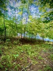 Lot 16 Moon Ridge Lane Goodview, VA 24095 - Photo 7 of 41 a view of lake view
