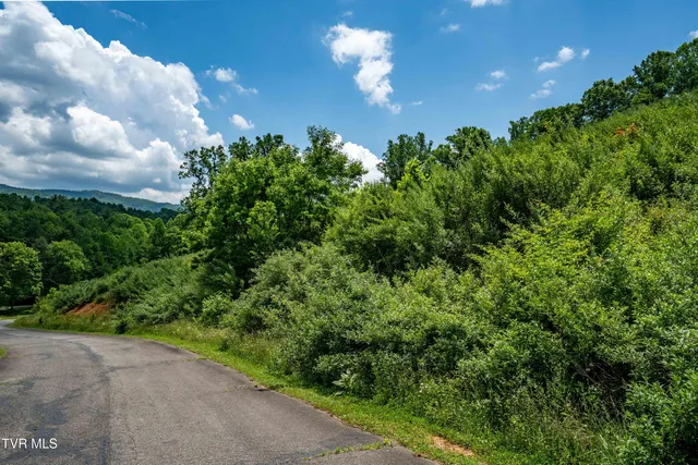 $123,999 | Tdb Ridgeview Drive, Unit 8 9 AND 10, Mountain City, TN 37683