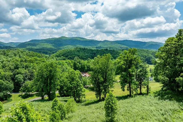 $123,999 | Tdb Ridgeview Drive, Unit 8 9 AND 10, Mountain City, TN 37683