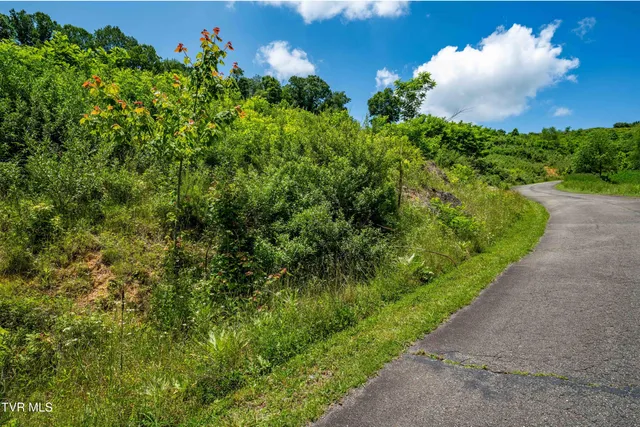 $123,999 | Tdb Ridgeview Drive, Unit 8 9 AND 10, Mountain City, TN 37683