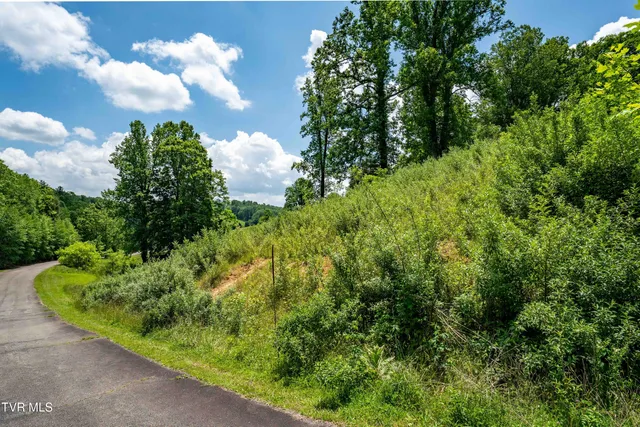 $123,999 | Tdb Ridgeview Drive, Unit 8 9 AND 10, Mountain City, TN 37683