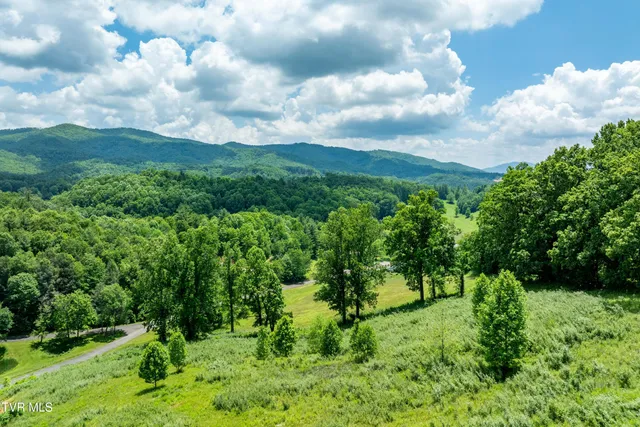 $123,999 | Tdb Ridgeview Drive, Unit 8 9 AND 10, Mountain City, TN 37683