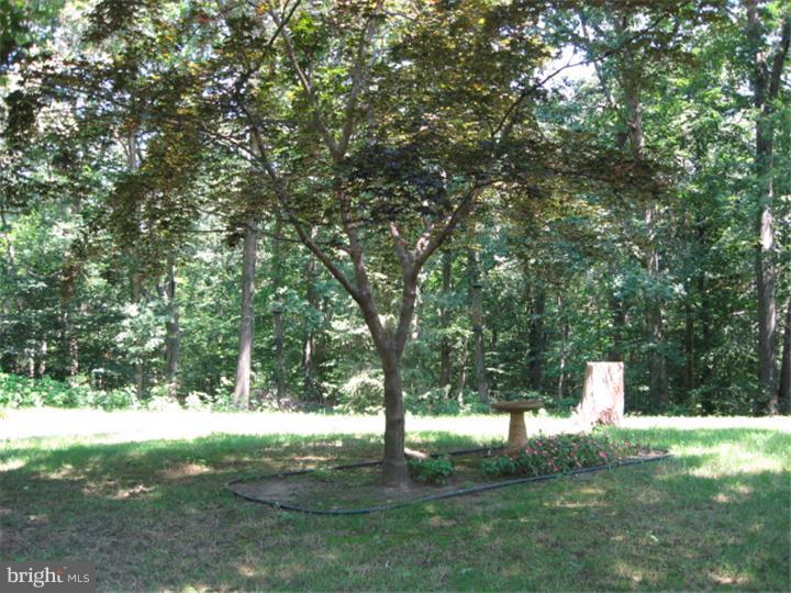 732 Route 537 Cream Ridge, NJ 08514 - Photo 14 of 23
