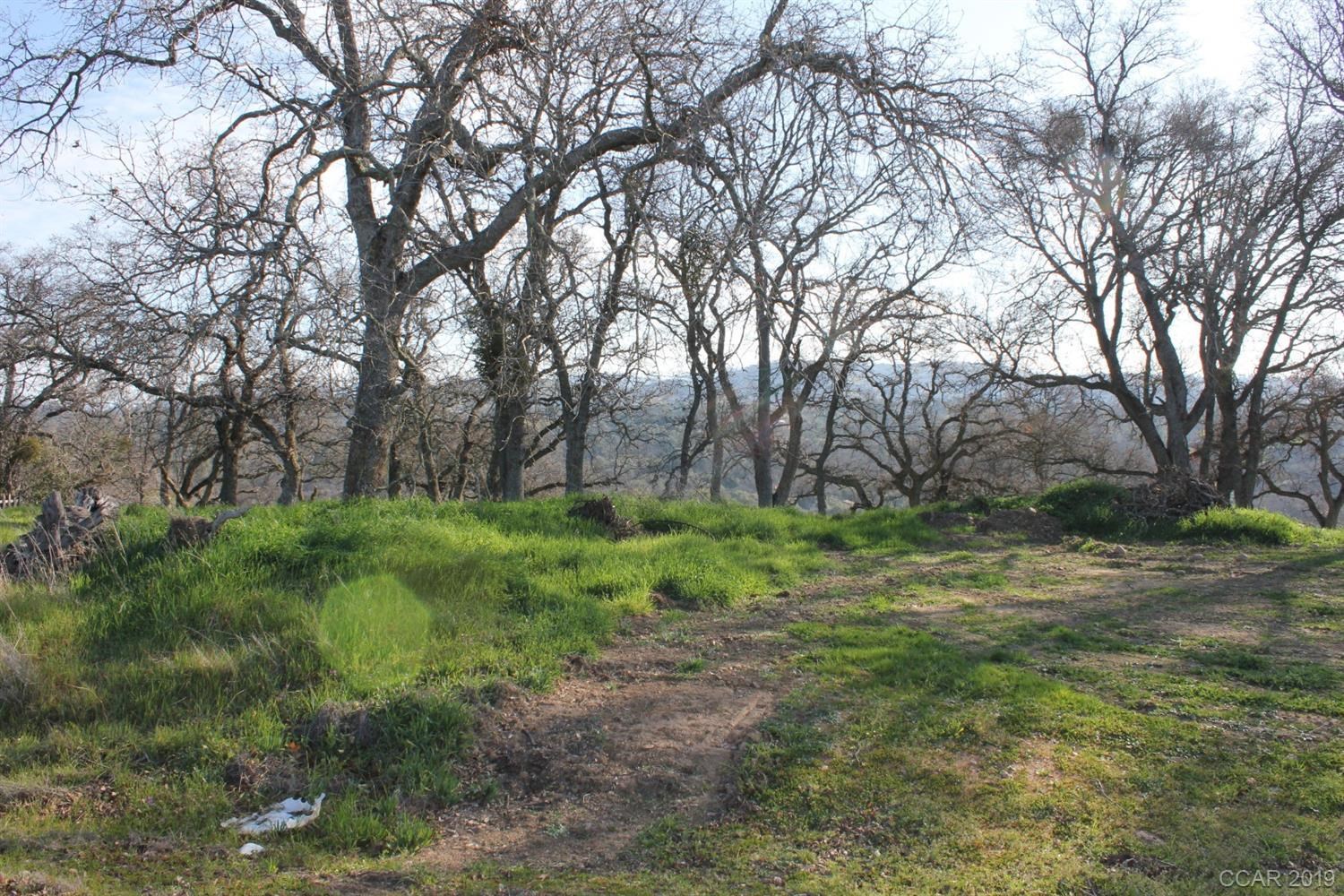 7229 Dalee Road Valley Springs, CA 95252 - Photo 1 of 1 Gallery Image 1