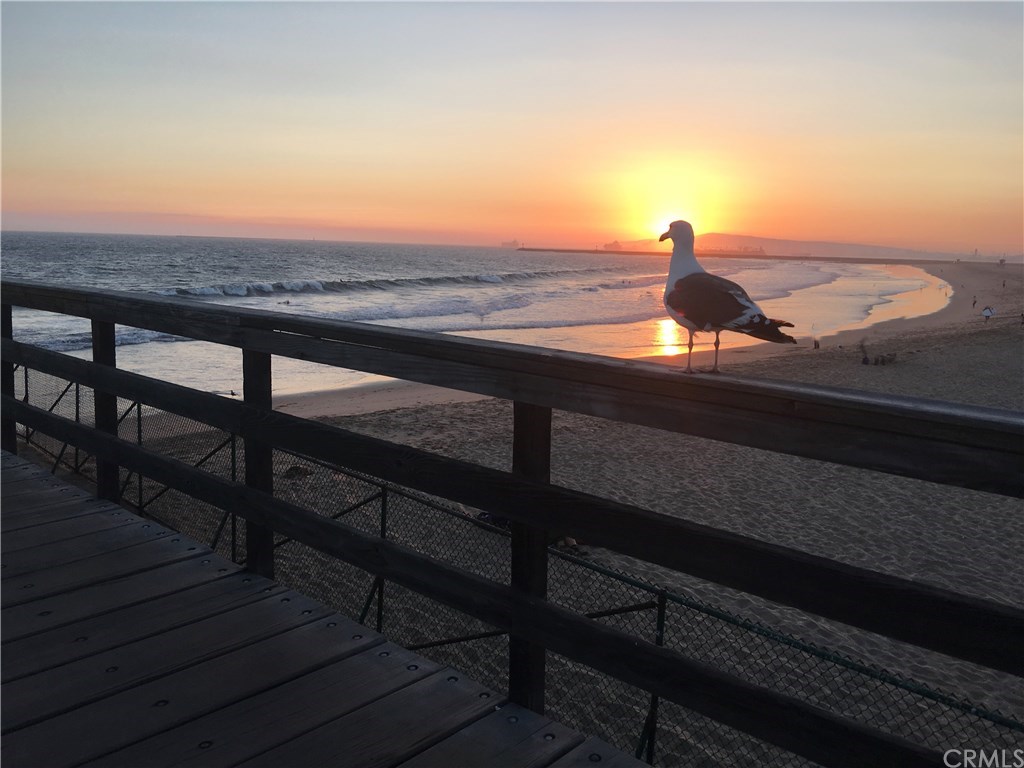 273 Harvard Lane Seal Beach, CA 90740 - Photo 31 of 43