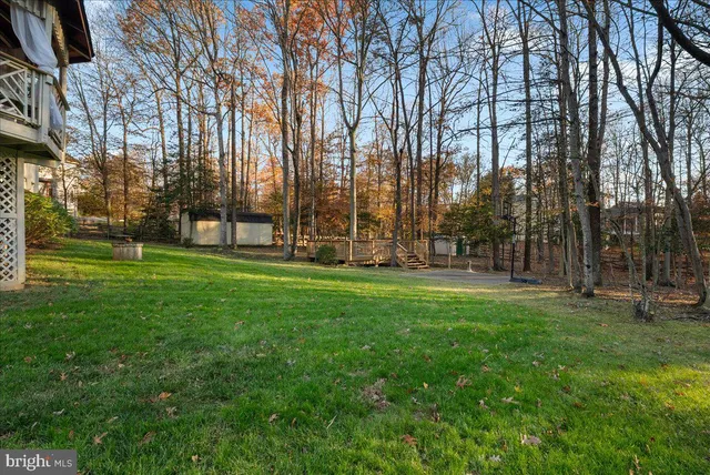 a view of a house with backyard and a tree