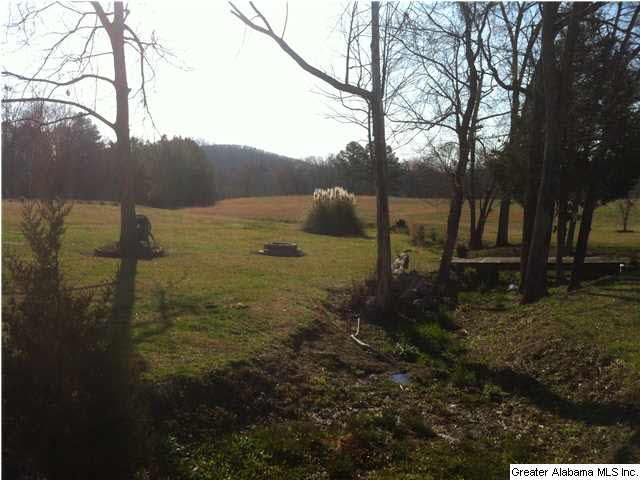 1720 Ross Lake Road Wellington, AL 36279 - Photo 30 of 32