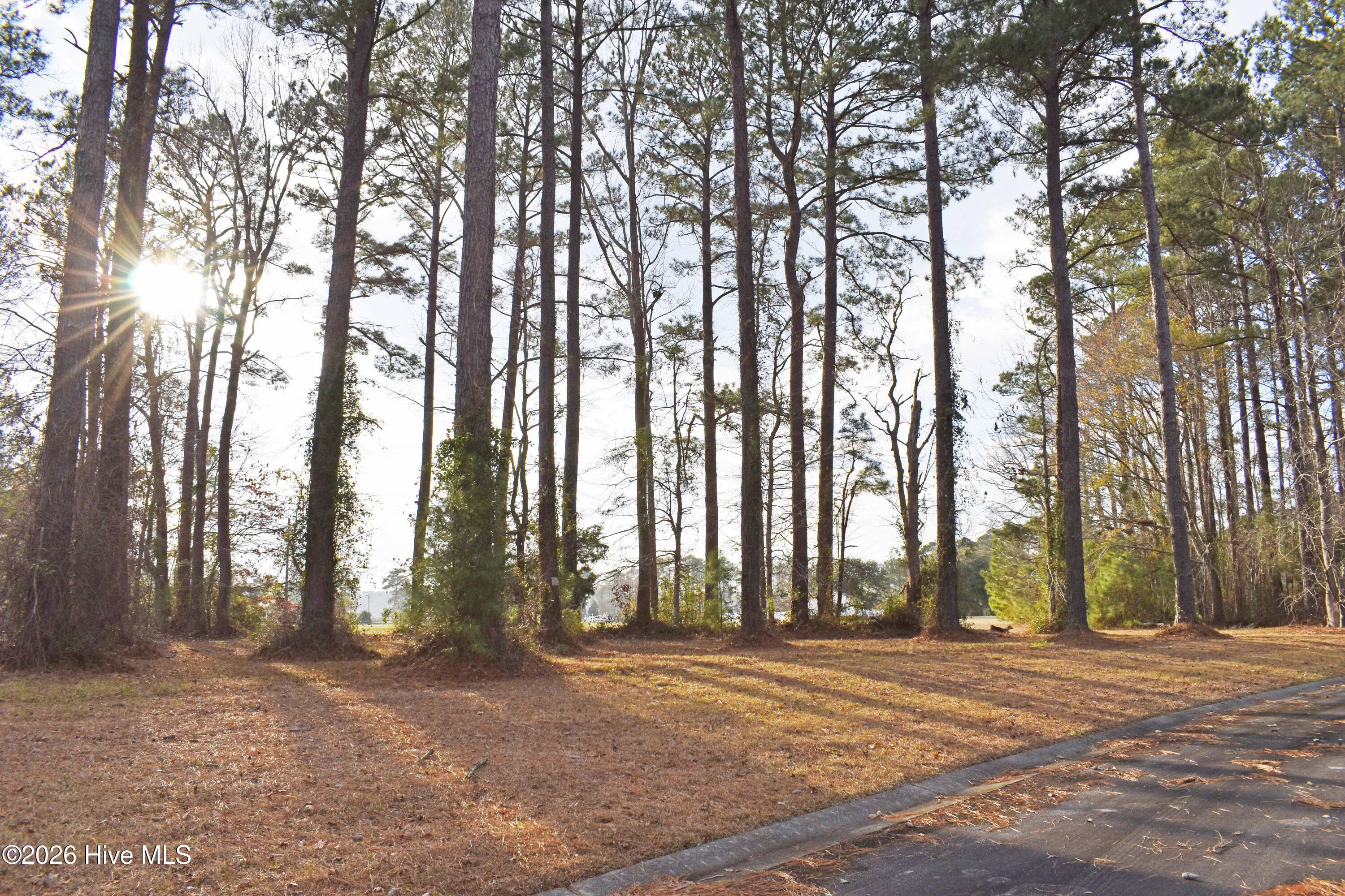 179 Corolla Loop Road Arapahoe, NC 28510 - Photo 1 of 10 DSC_0284.ed