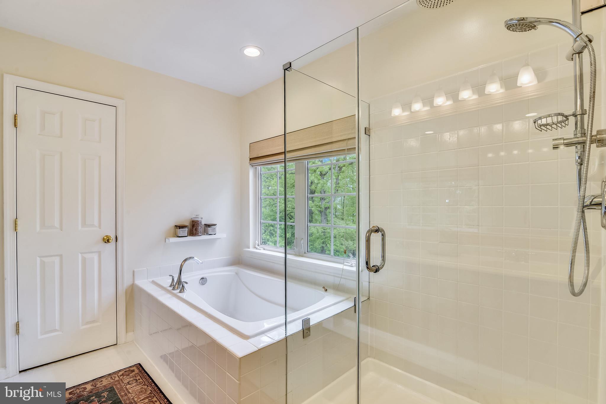 21558 Awbrey Place Broadlands, VA 20148 - Photo 26 of 45 OWNER'S BATH WITH SOAKING TUB + WALK-IN SHOWER
