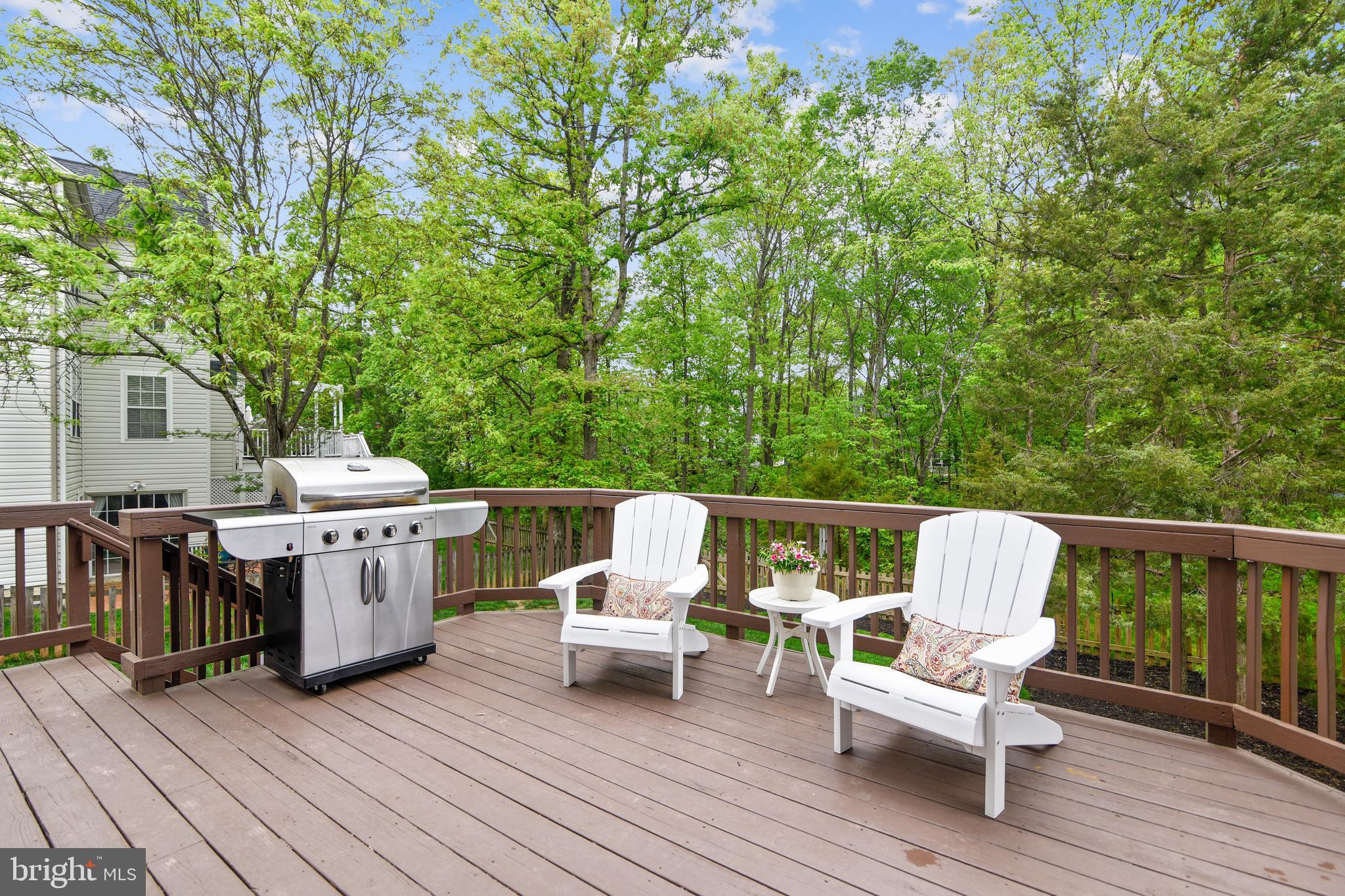 21558 Awbrey Place Broadlands, VA 20148 - Photo 6 of 45 DECK OFF OF KITCHEN FOR EASY ENTERTAINING