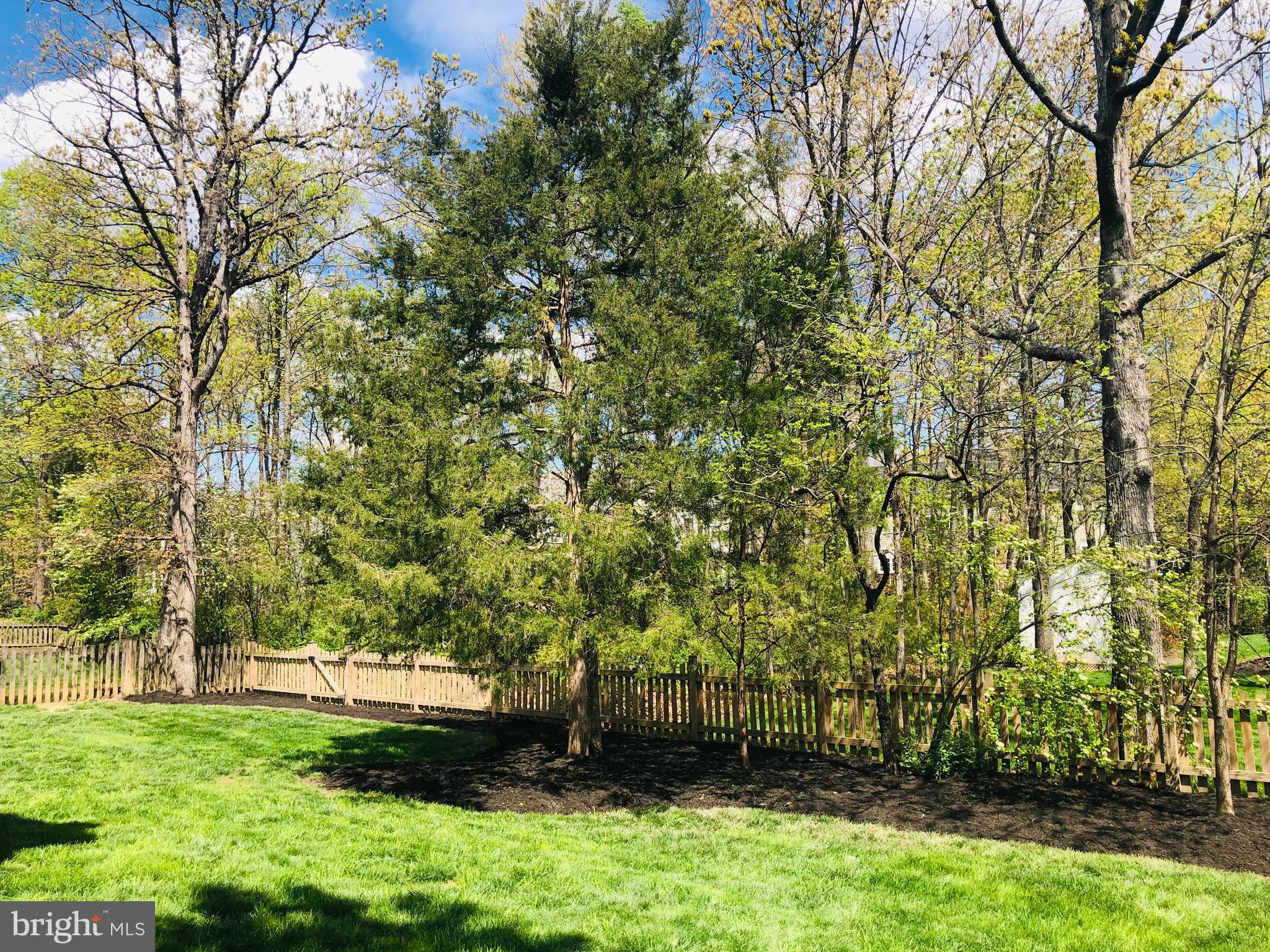 21558 Awbrey Place Broadlands, VA 20148 - Photo 8 of 45 YARD BACKS TO TREED COMMON AREA