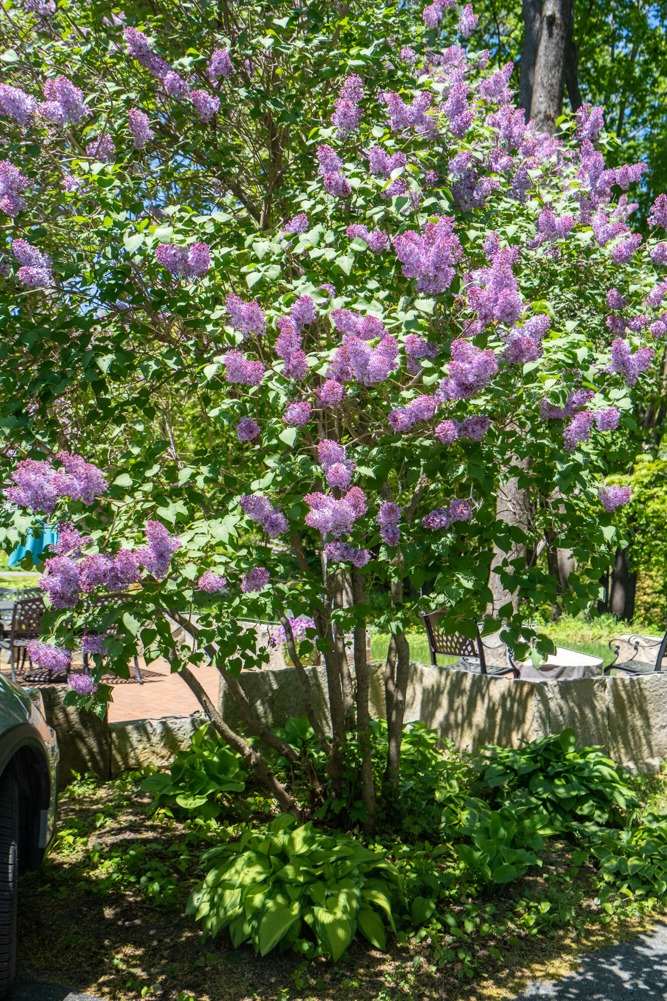 63 Main Street Yarmouth, ME 04096 - Photo 46 of 49 63 Main Street-10