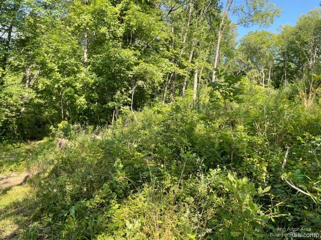 Vl Denton Hills Road Fenton, MI 48430 - Photo 2 of 21