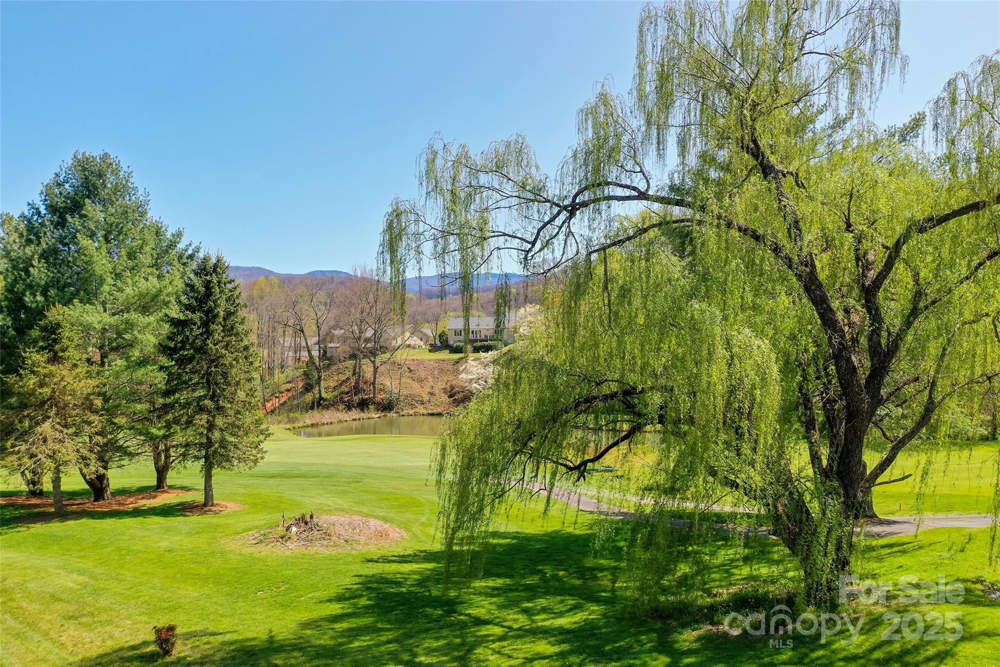 111 Augusta Circle Waynesville, NC 28786 - Photo 16 of 41 a view of an ocean from a yard