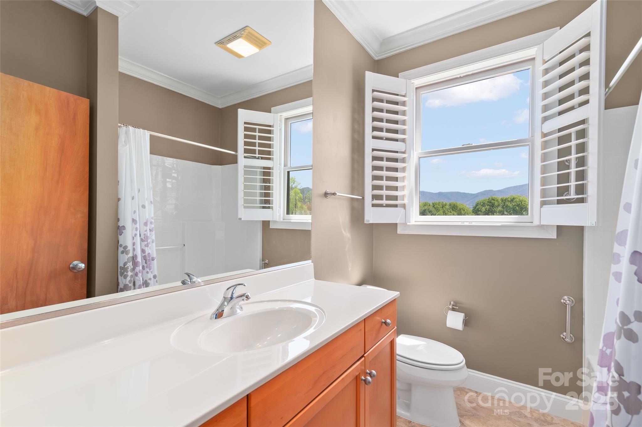 111 Augusta Circle Waynesville, NC 28786 - Photo 33 of 41 a bathroom with a sink a toilet and a large mirror