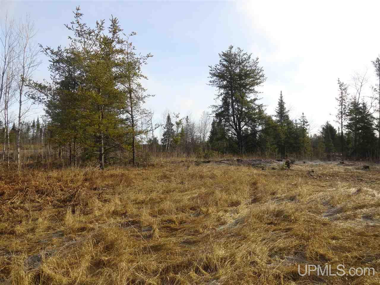 116-acres 116-acres Co Road Negaunee, MI 49866 - Photo 3 of 37
