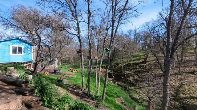 a house view with a yard