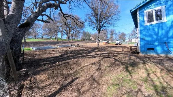 a view of a yard with a tree