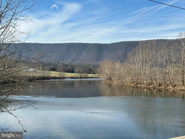 a view of a dry yard with trees