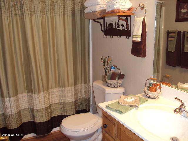 2321 Buffalo Loop Overgaard, AZ 85933 - Photo 19 of 20 DSC04047