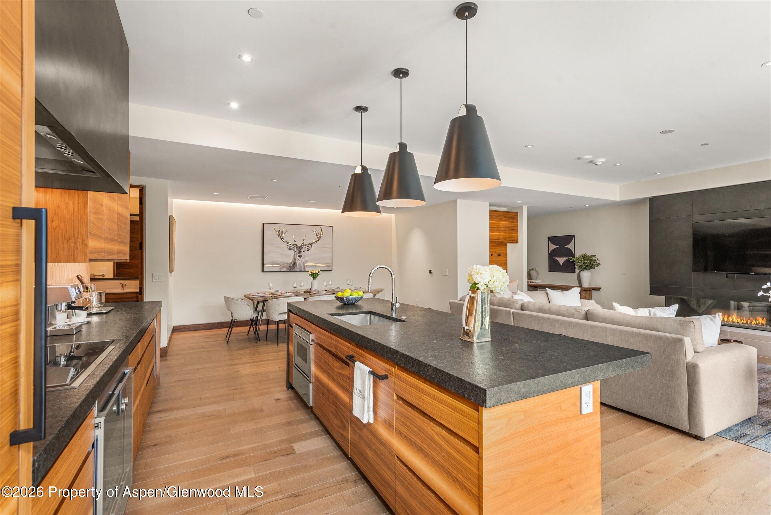 77 Wood Road, Unit 404 EAST Snowmass Village, CO 81615 - Photo 9 of 27 Gaggenau Appliances