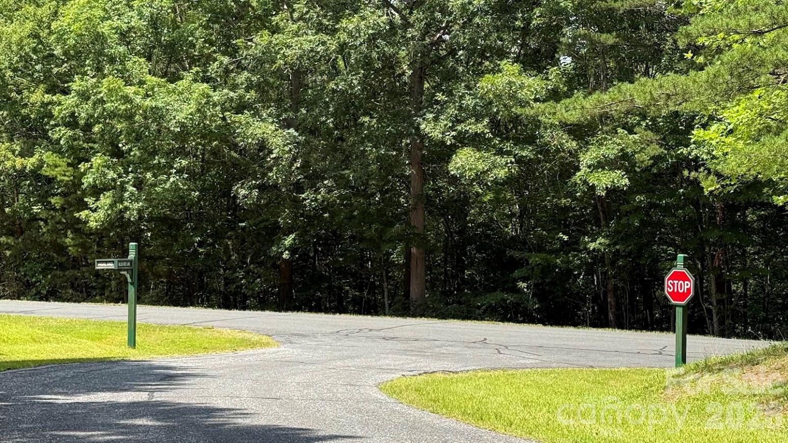 0 Fallen Tree Lane, Unit 19 Mill Spring, NC 28756 - Photo 2 of 12