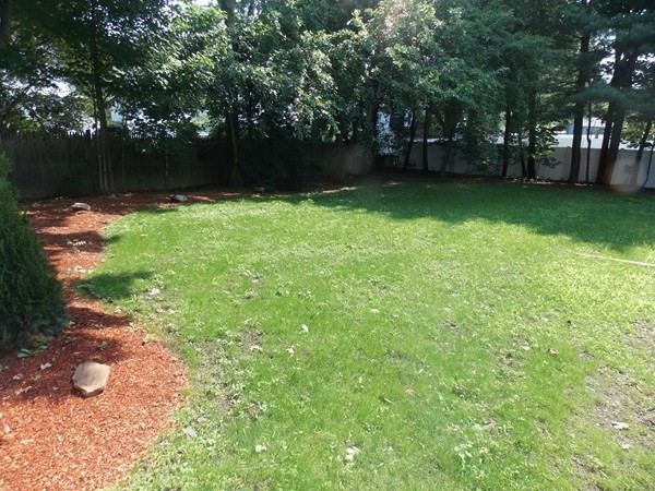 56 Locust Street Reading, MA 01867 - Photo 6 of 27 Gallery Image 6