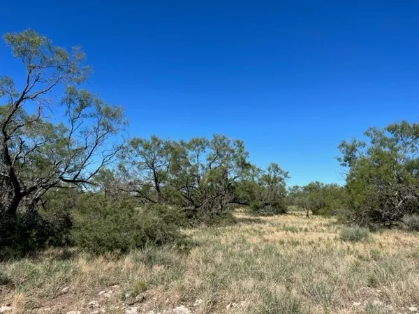 a view of a field