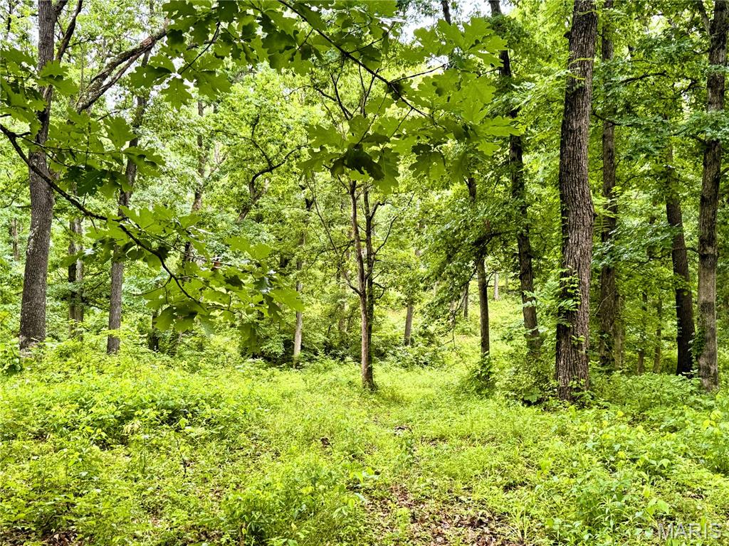 13628 Thorn Berry Road New London, MO 63459 - Photo 8 of 9