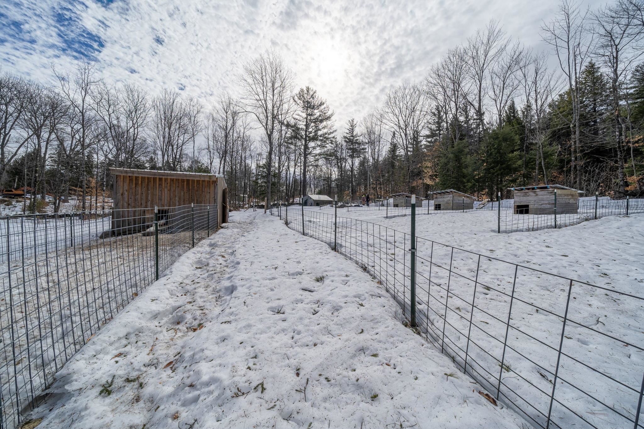 110 Dean Road Danbury, NH 03230 - Photo 15 of 34 Gallery Image 15