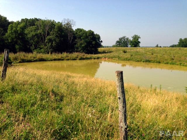 0 East Helle Road Ellisville, IL 61431 - Photo 1 of 1