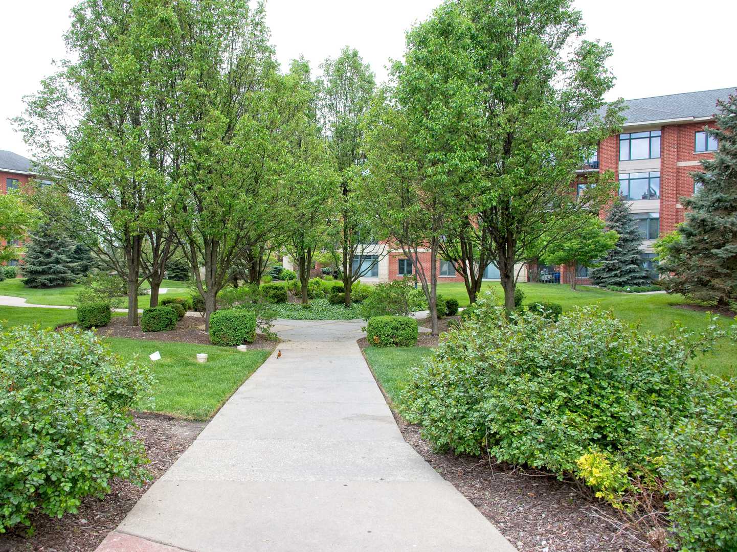 855 East 22nd Street, Unit 403 Lombard, IL 60148 - Photo 2 of 17