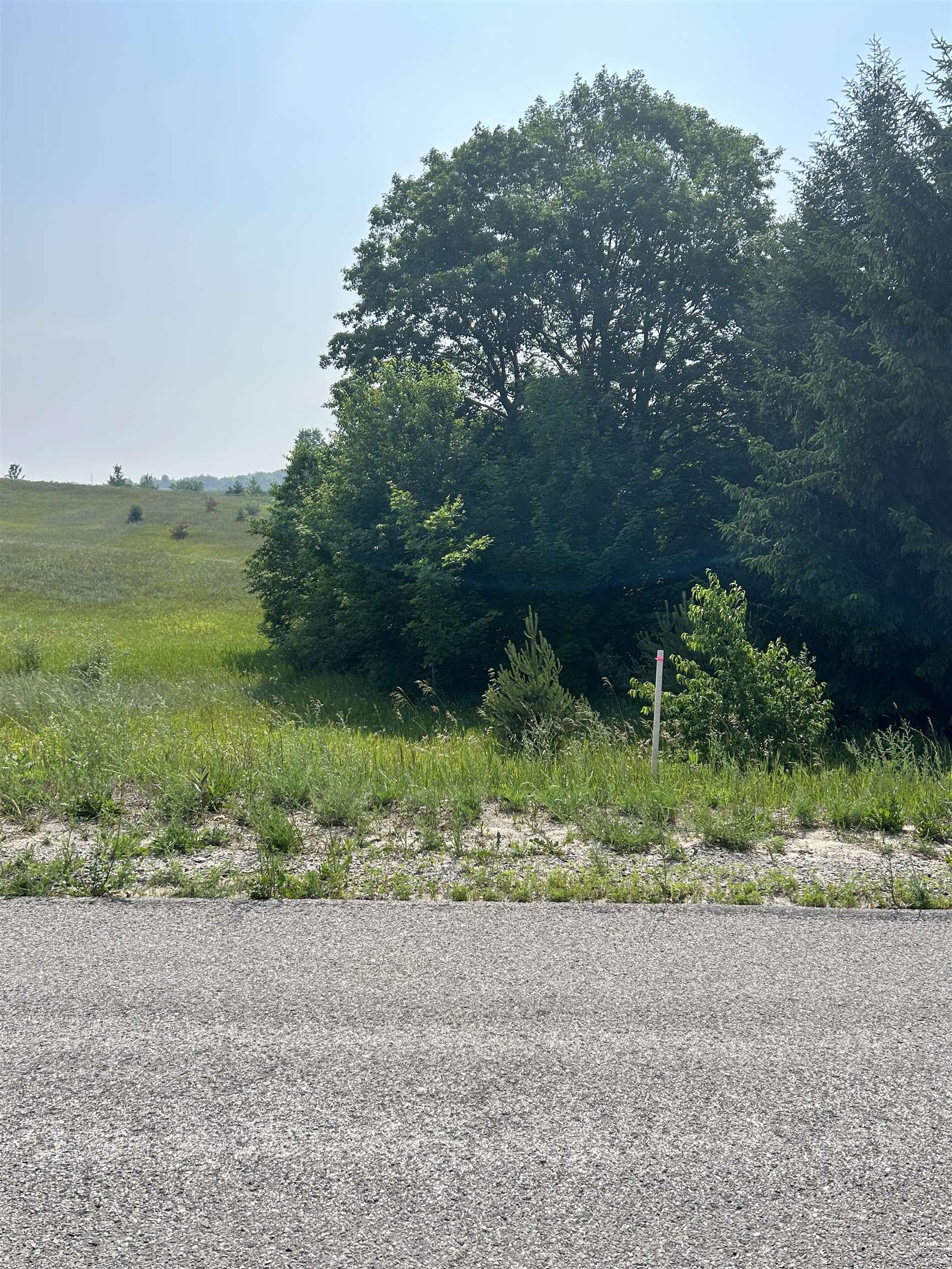 0 South Maple Valley Road Suttons Bay, MI 49682 - Photo 9 of 9