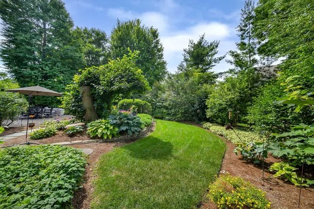 a view of a garden with a bench and trees