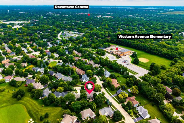 a view of a bunch of flowers