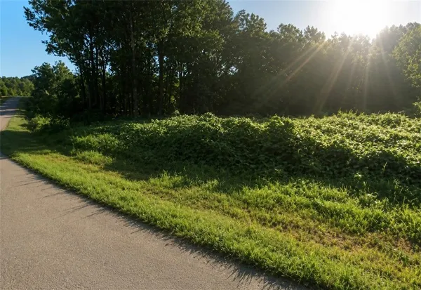 $45,000 | Lot 12 Nails Creek Crossing, Royston, GA 30662