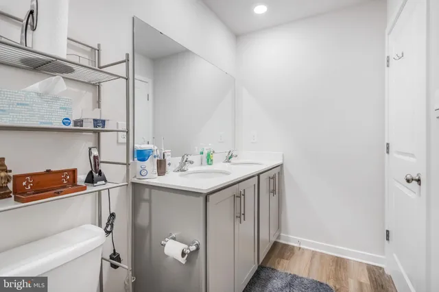 a bathroom with a sink and a toilet