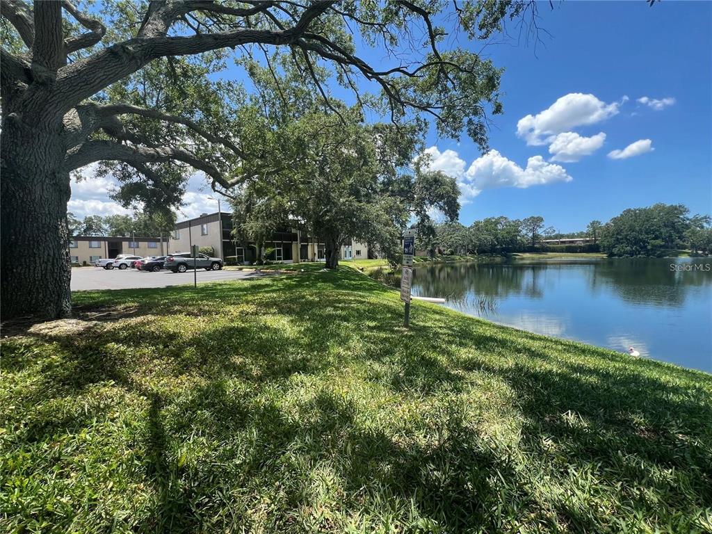 631 North Keene Road, Unit S8 Clearwater, FL 33755 - Photo 21 of 22